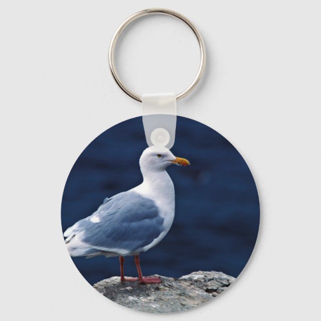 Glaucous Gull Keychain (Front)