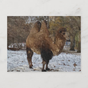 Glazed Camel Art Postcard