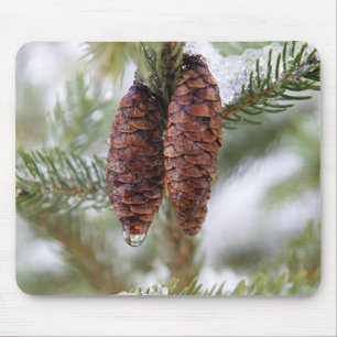 Glazed Cones Mouse Pad