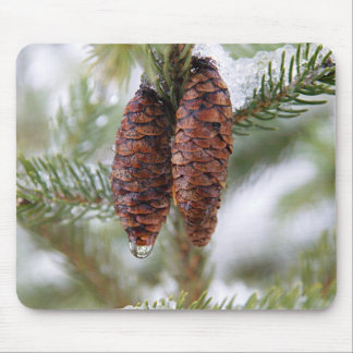 Glazed Cones Mouse Pad