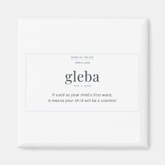 Gleba Magnet