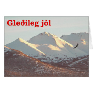 Gleðileg Jól - Winter Eagle