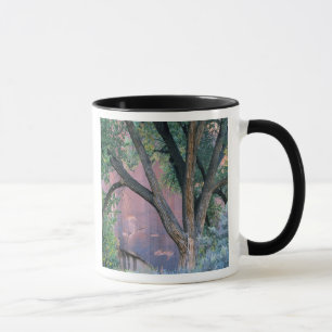 Glen Canyon National Recreation Area, Utah. USA. Mug
