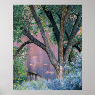 Glen Canyon National Recreation Area, Utah. USA. Poster