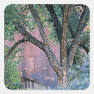 Glen Canyon National Recreation Area, Utah. USA. Square Sticker