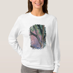 Glen Canyon National Recreation Area, Utah. USA. T-Shirt