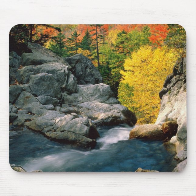 Glen Ellis Falls Mouse Pad (Front)