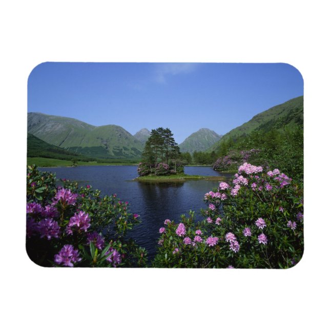 Glen Etive, Highlands, Scotland Magnet (Horizontal)