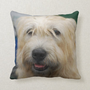 glen-of-imaal-terrier-7.jpg throw pillow