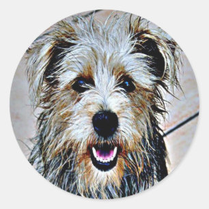 Glen of Imaal Terrier Classic Round Sticker