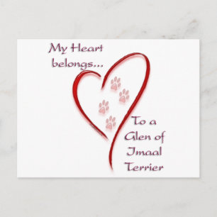 Glen of Imaal Terrier Heart Belongs Postcard