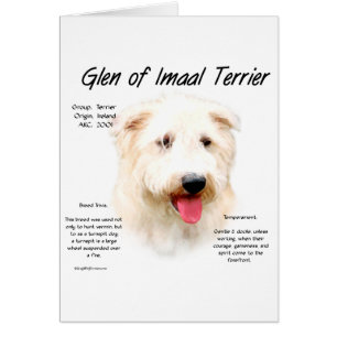 Glen of Imaal Terrier History Design