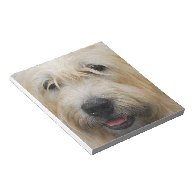 Glen of Imaal Terrier Notepad (Angled)