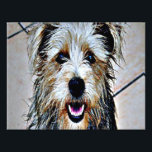 Glen of Imaal Terrier Photo Print<br><div class="desc">Beautiful Glen of Imaal Terrier also known as a Wicklow Terrier in pop art</div>
