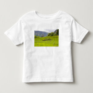 Glendalough, Ireland. Glendalough is one of Toddler T-shirt