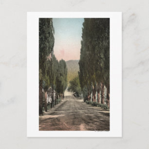 Glenwood Springs, Colorado Postcard