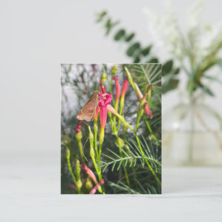 Glimmers of Beauty Blank Note Card