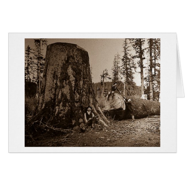 Glissière 1903 de lanterne magique de bûcherons de (Devant horizontal)