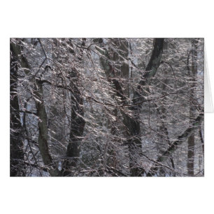Glistening Icy Forest in Morning Light I