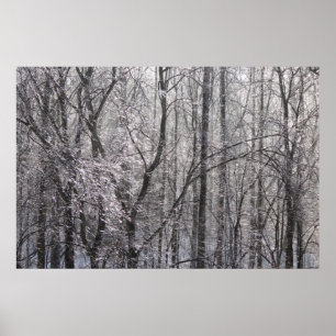 Glistening Icy Forest in Morning Light II Poster