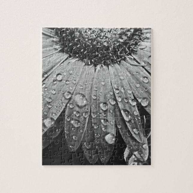 Glistening Rain Drops on Daisy Flower Jigsaw Puzzle (Vertical)