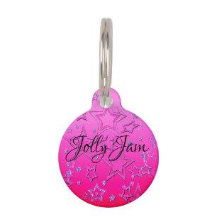 Glitter shine glow pink purple confetti sequins Ch Pet Tag