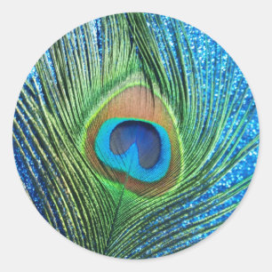 Glittery Blue Peacock Feather Still Life Classic Round Sticker