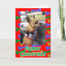 Glittery Dog Bones Any Photo Christmas Card