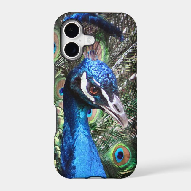 Glitzy Peacock (Back)