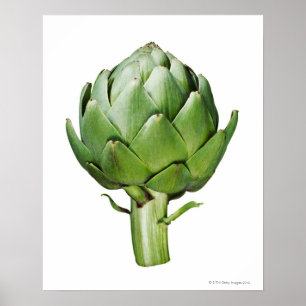 Globe Artichoke on White Background Cut Out Poster