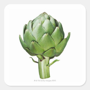 Globe Artichoke on White Background Cut Out Square Sticker