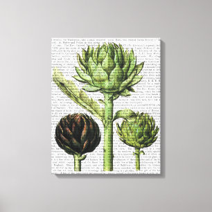 Globe Artichoke Print