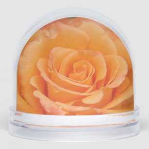 Globe des neiges Roses orange
