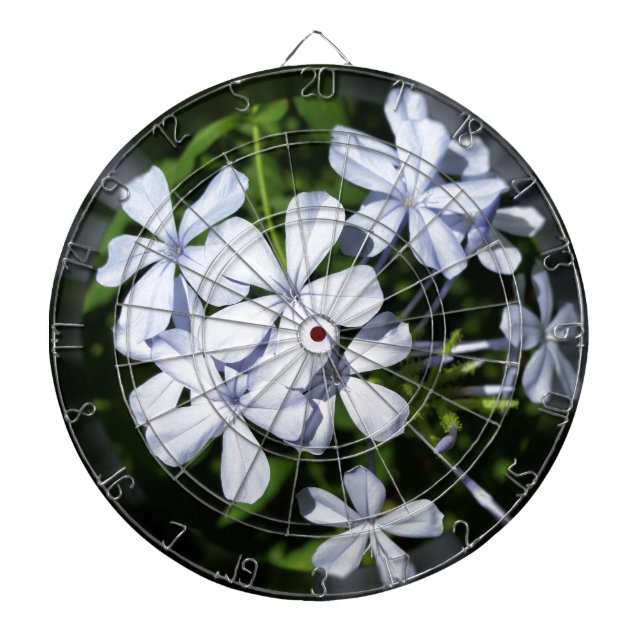Globe of flowers dartboard (Front)