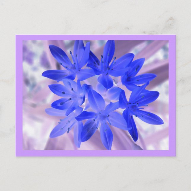 Gloire De La Carte Postale Bleue Chockante De Neig (Devant)