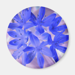 Gloire De La Neige Chocking Magnet Bleu