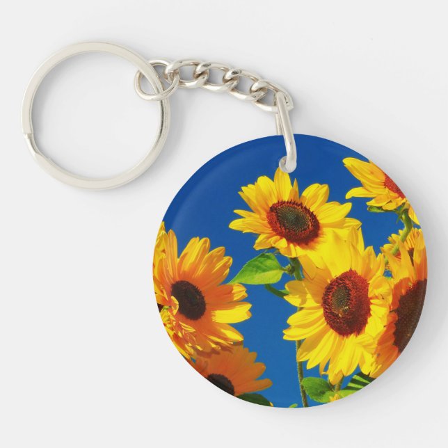 Gloire de tournesol (Devant)