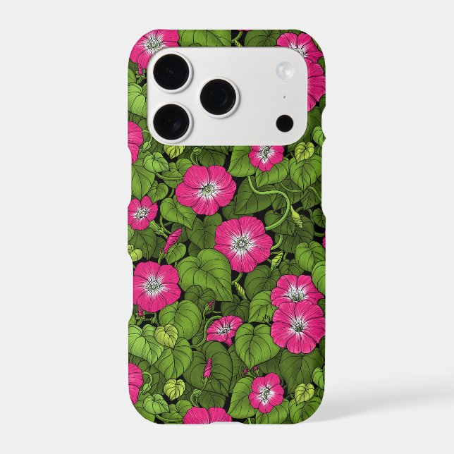 Gloire du matin en rose et vert (Verso)