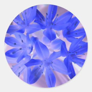 Gloire Du Sticker Bleu Chocking De Neige