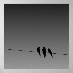 Glooming Blackbirds Silhouette on Wire Poster