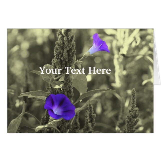 Glories du matin Carte Fleur Noir Et Blanc (Devant horizontal)