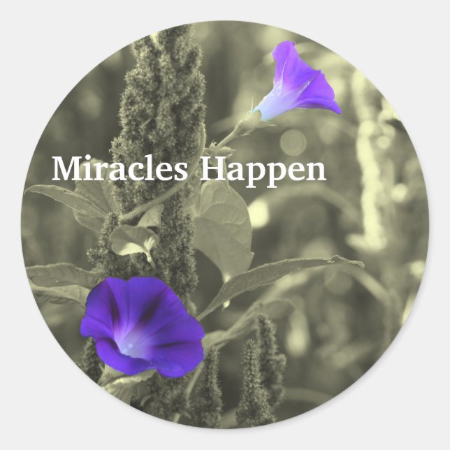 Glories du matin Miracles Happen Sticker (Devant)
