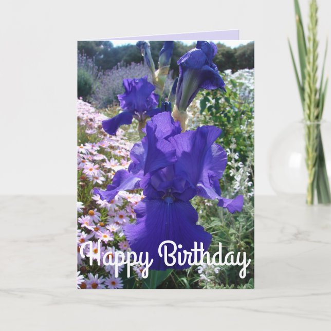 Glorieux violet Iris Fleur Floral Carte Anniversai (Devant)