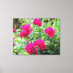 Glorious garden art canvas print