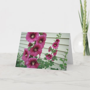 Glorious Hollyhocks Card