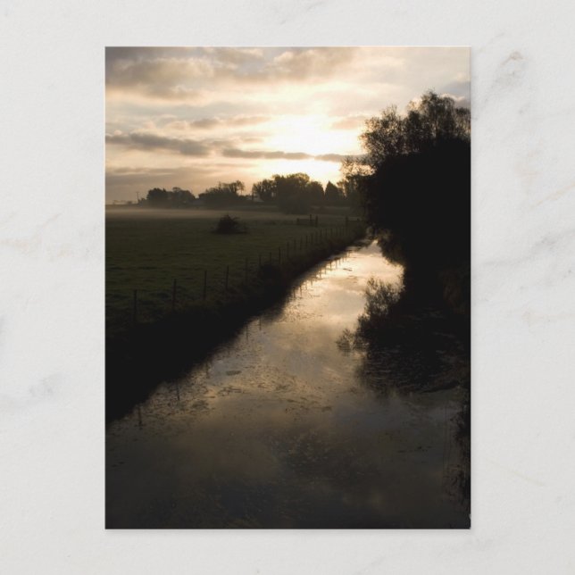 Glorious Light Postcard (Front)