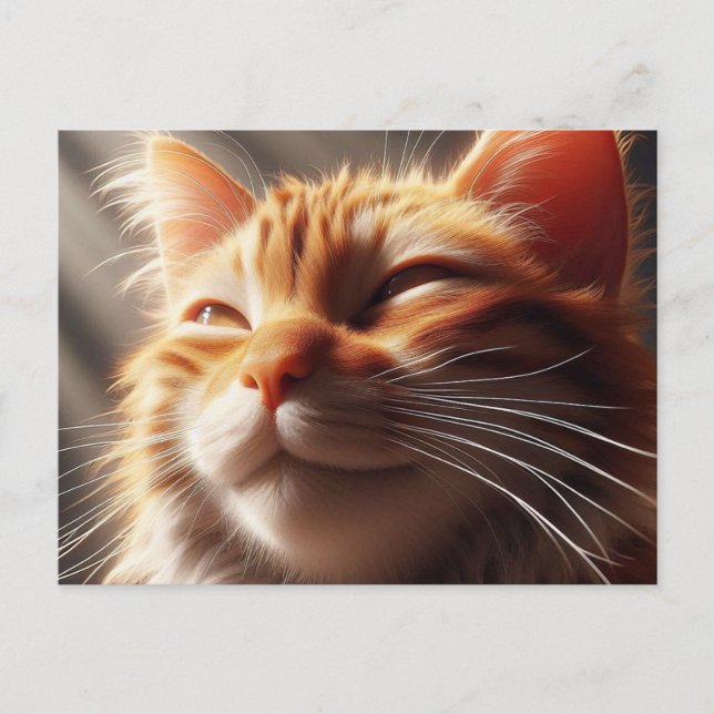 Glorious Orange Cat! Postcard (Front)