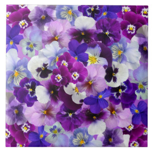 Glorious Pansies Tile