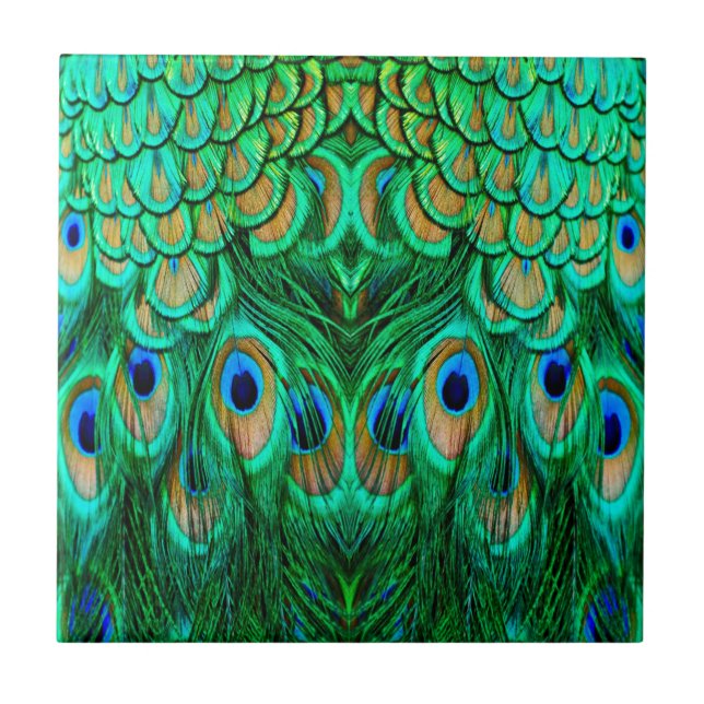 Glorious Peacock Feathers Tile (Front)