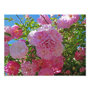 Glorious Spring Flowers Photo Print